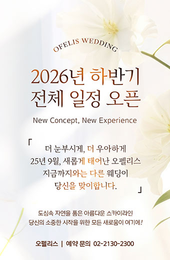 2026년 하반기 전체 일정 오픈